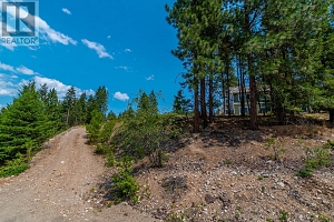Lot 289 Westshore Road - Photo 13