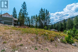 Lot 289 Westshore Road - Photo 2