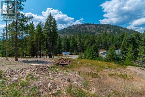 Lot 289 Westshore Road - Photo 4