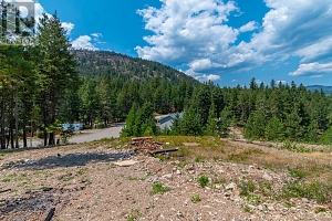 Lot 289 Westshore Road - Photo 8