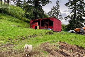 5620 Neil Road - Photo 22