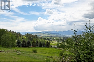 5620 Neil Road - Photo 7