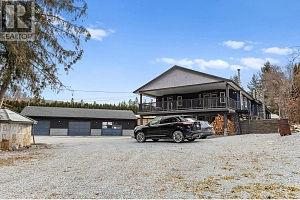 4150 June Springs Road - Photo 58