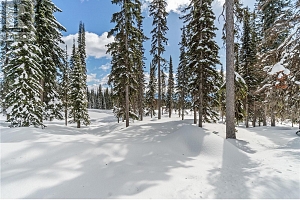 4 Black Forest Road Lot# 4 DL 4257 - Photo 13
