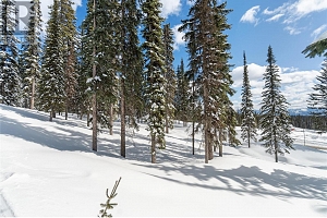 4 Black Forest Road Lot# 4 DL 4257 - Photo 15