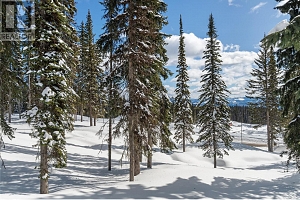 4 Black Forest Road Lot# 4 DL 4257 - Photo 16