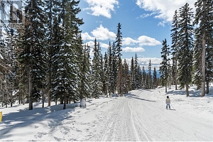 4 Black Forest Road Lot# 4 DL 4257 - Photo 17