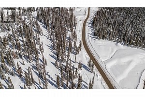 4 Black Forest Road Lot# 4 DL 4257 - Photo 3