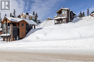 325 Feathertop Way - Photo 19