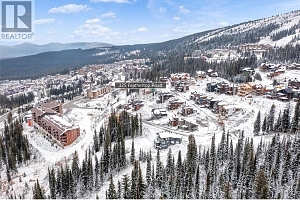 325 Feathertop Way - Photo 30