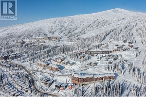 325 Feathertop Way - Photo 32