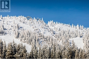 325 Feathertop Way - Photo 33