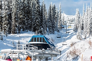 325 Feathertop Way - Photo 36