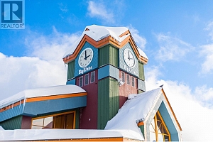 325 Feathertop Way - Photo 37