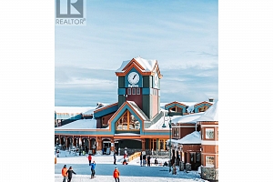 325 Feathertop Way - Photo 38