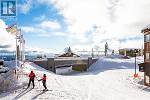 325 Feathertop Way - Photo 46