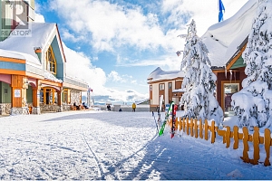 325 Feathertop Way - Photo 47