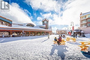 325 Feathertop Way - Photo 49