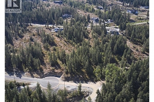 213 Crooked Pine Road - Photo 10