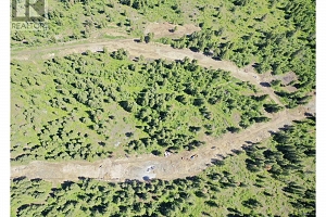 213 Crooked Pine Road - Photo 16