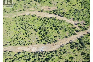 213 Crooked Pine Road - Photo 19