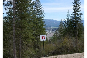 213 Crooked Pine Road - Photo 2