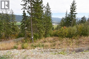 213 Crooked Pine Road - Photo 3