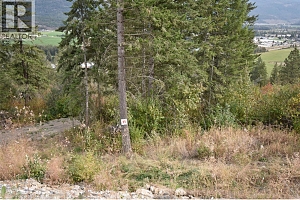 213 Crooked Pine Road - Photo 4