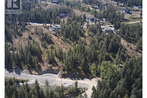 213 Crooked Pine Road - Photo 7