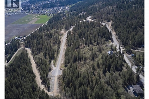 213 Crooked Pine Road - Photo 7