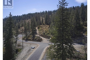 207 Crooked Pine Road - Photo 10