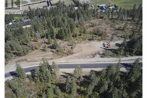 207 Crooked Pine Road - Photo 13