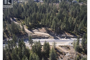 207 Crooked Pine Road - Photo 13