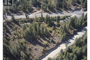 207 Crooked Pine Road - Photo 14