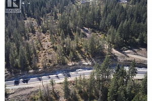 207 Crooked Pine Road - Photo 14