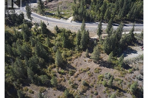 207 Crooked Pine Road - Photo 16