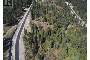 207 Crooked Pine Road - Photo 17