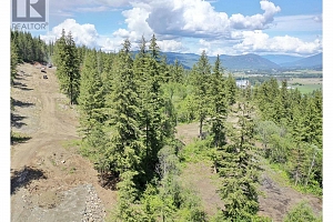 207 Crooked Pine Road - Photo 23