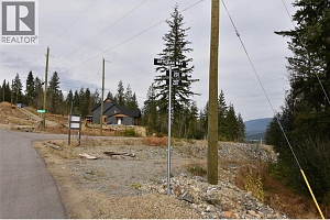 207 Crooked Pine Road - Photo 3