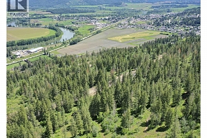 207 Crooked Pine Road - Photo 32