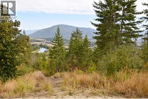 207 Crooked Pine Road - Photo 6