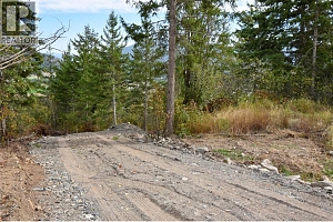 207 Crooked Pine Road - Photo 7