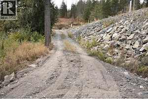 207 Crooked Pine Road - Photo 8