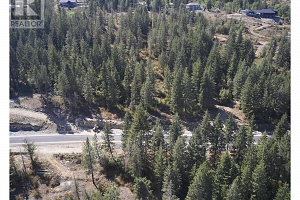 201 Crooked Pine Road - Photo 10