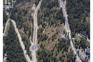 201 Crooked Pine Road - Photo 12