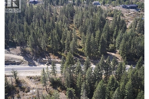 201 Crooked Pine Road - Photo 16