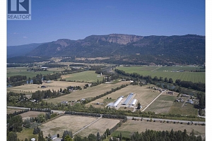 201 Crooked Pine Road - Photo 3