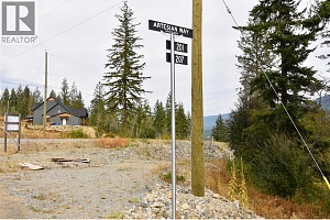 201 Crooked Pine Road - Photo 3