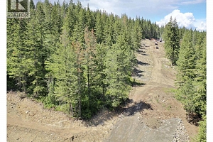 201 Crooked Pine Road - Photo 33