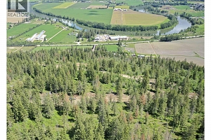 201 Crooked Pine Road - Photo 35